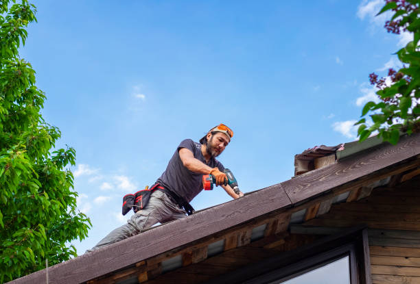 Best Roofing for New Construction  in Findlay, OH