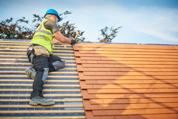 Best Emergency Roof Repair Services  in Findlay, OH